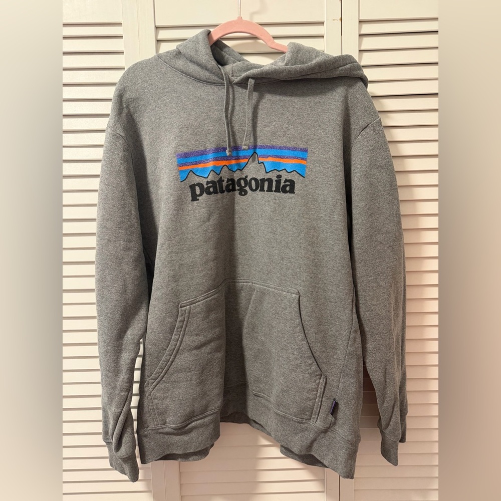 Patagonia Gray and Blue Logo Hoodie